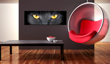Tablou - Look into my eyes... - Img 2