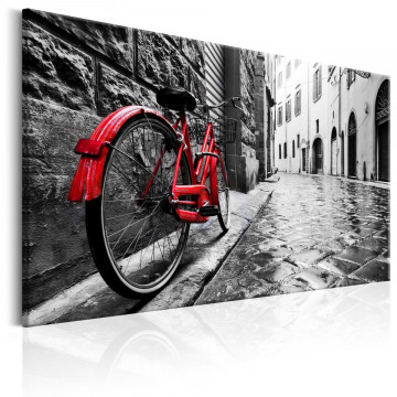 Tablou - Vintage Red Bike - Img 1