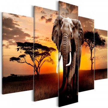Tablou - Wandering Elephant (5 Parts) Wide - Img 1