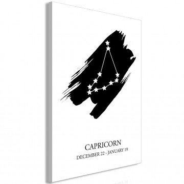 Tablou - Zodiac Signs: Capricorn (1 Part) Vertical - Img 1