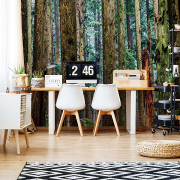Tree Textures In The Forest Photo Wallpaper Wall Mural - Img 14