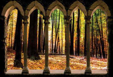 Autumn Forest Stone Archway View Photo Wallpaper Wall Mural - Img 6