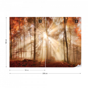 Autumn Trees Forest Sunshine Photo Wallpaper Wall Mural - Img 11
