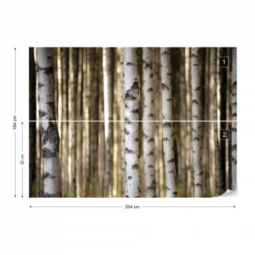 Birch Trees In The Forest Photo Wallpaper Wall Mural - Img 5