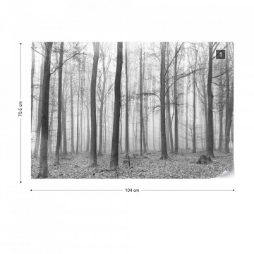 Black And White Misty Forest Photo Wallpaper Wall Mural - Img 1