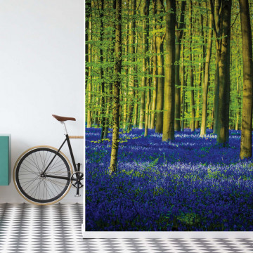 Blue Forest Trees Photo Wallpaper Wall Mural - Img 17