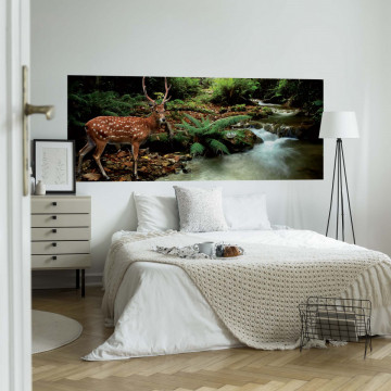 Deer In Forest Photo Wallpaper Wall Mural - Img 20