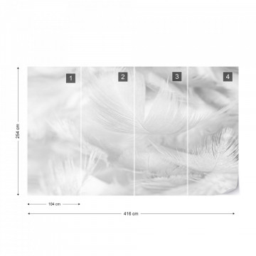 Feathers in Black & White - Img 16