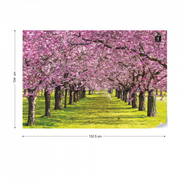 Flowering Trees Photo Wallpaper Wall Mural - Img 8