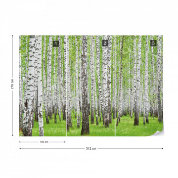 Forest Birch Trees Woods Photo Wallpaper Wall Mural - Img 15