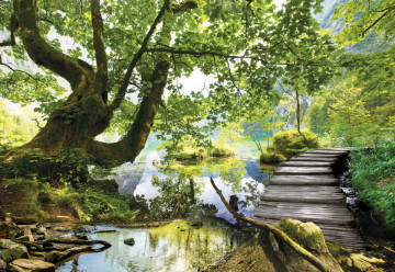 Forest Lake Path Photo Wallpaper Wall Mural - Img 6