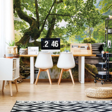 Forest Lake Path Photo Wallpaper Wall Mural - Img 2
