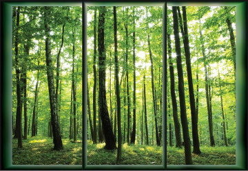 Forest Trees Green Window View Photo Wallpaper Wall Mural - Img 3