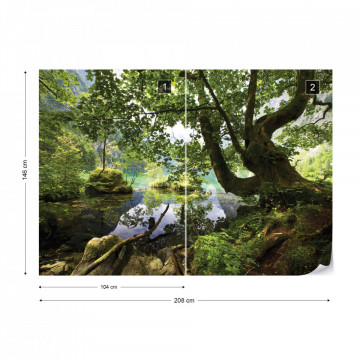 Forest Trees Lake Photo Wallpaper Wall Mural - Img 16