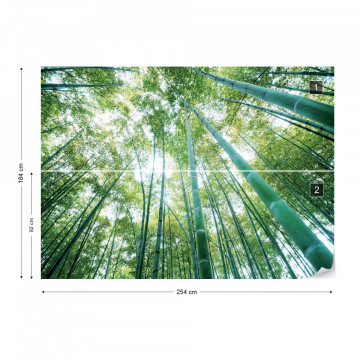 Forest Woods Photo Wallpaper Wall Mural - Img 5
