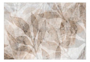 Fototapet - Abstract Shadow - Forme și Contururi de Frunze Intrețesute - Bej - Img 2