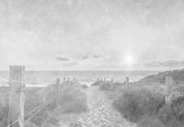 Fototapet - Apus de Vară – Aspect Vintage Alb-Negru - Img 7