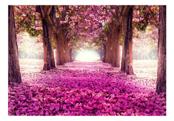 Fototapet autoadeziv - Pink path - Img 2
