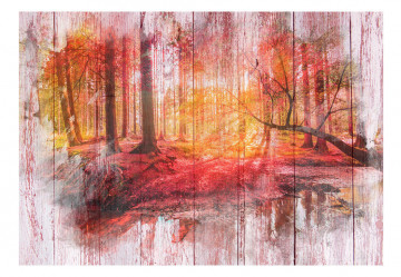 Fototapet - Autumnal Forest - Img 2