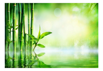 Fototapet - Bamboo Grove - Img 2