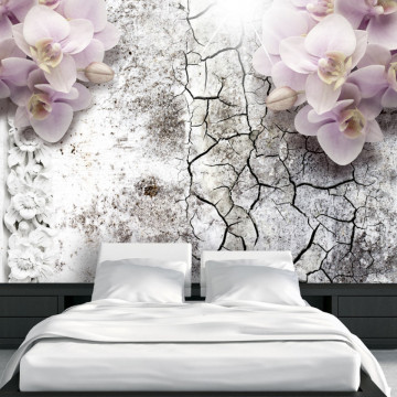 Fototapet - Bright red orchids - Img 1