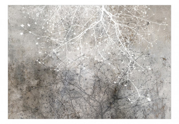 Fototapet - Clear Branching - Img 2