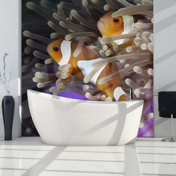 Fototapet - Clownfish - Img 1