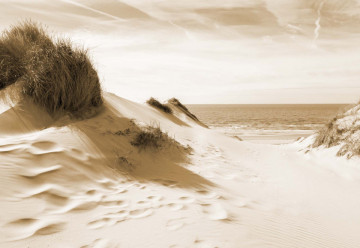 Fototapet - Fereastră spre Mare – Sepia - Img 7