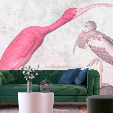 Fototapet - Ibis șarpe - pasăre roz de John James Audubon - Img 1