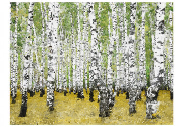 Fototapet - In birch grove... - Img 4