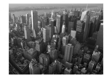Fototapet - New York: skyscrapers (bird's eye view) - Img 2