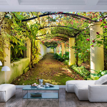 Fototapet - Pergola - Img 1