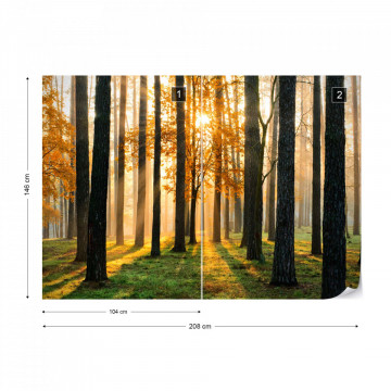 Fototapet - Răsărit de Soare în Pădure - Img 14