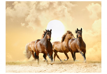 Fototapet - Running horses - Img 2