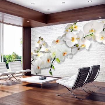 Fototapet - The Urban Orchid - Img 1