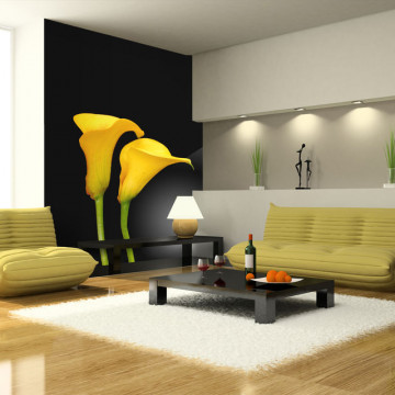 Fototapet - Two yellow calla flowers on a black background - Img 1