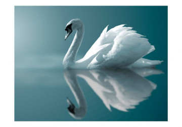 Fototapet - White swan - Img 4