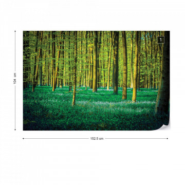 Green Forest Trees Photo Wallpaper Wall Mural - Img 12