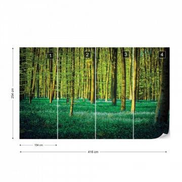 Green Forest Trees Photo Wallpaper Wall Mural - Img 15