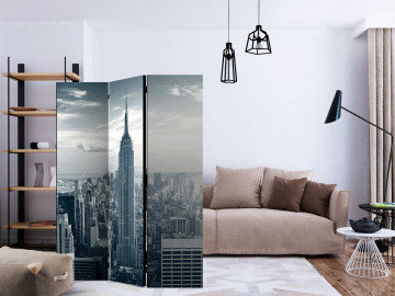 Paravan - Amazing view to New York Manhattan at sunrise [Room Dividers] - Img 2