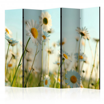 Paravan - Daisies - spring meadow II [Room Dividers] - Img 1