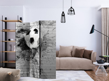 Paravan - Dynamic Football [Room Dividers] - Img 2