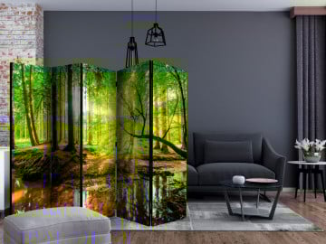 Paravan - Forest Stream II [Room Dividers] - Img 2