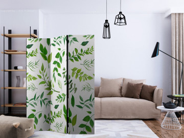 Paravan - Green Twigs [Room Dividers] - Img 2