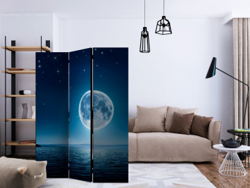 Paravan - Moonlit night [Room Dividers] - Img 2