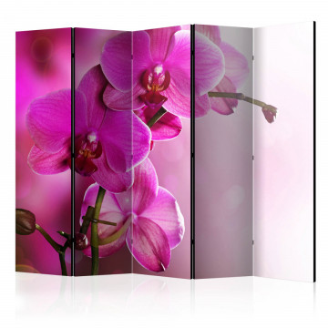 Paravan - Pink orchid II [Room Dividers] - Img 1