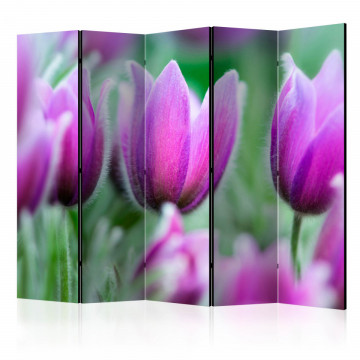 Paravan - Purple spring tulips II [Room Dividers] - Img 1