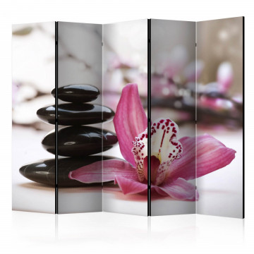 Paravan - Relaxation and Wellness II [Room Dividers] - Img 1