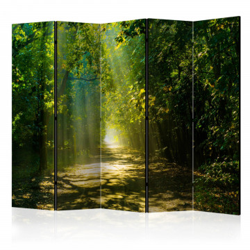 Paravan - Road in Sunlight II [Room Dividers] - Img 1