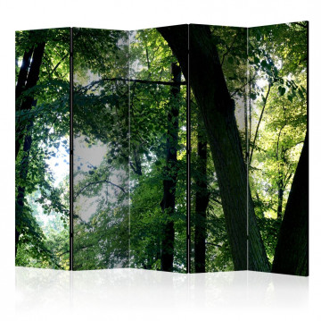 Paravan - Spring in the Park II [Room Dividers] - Img 1